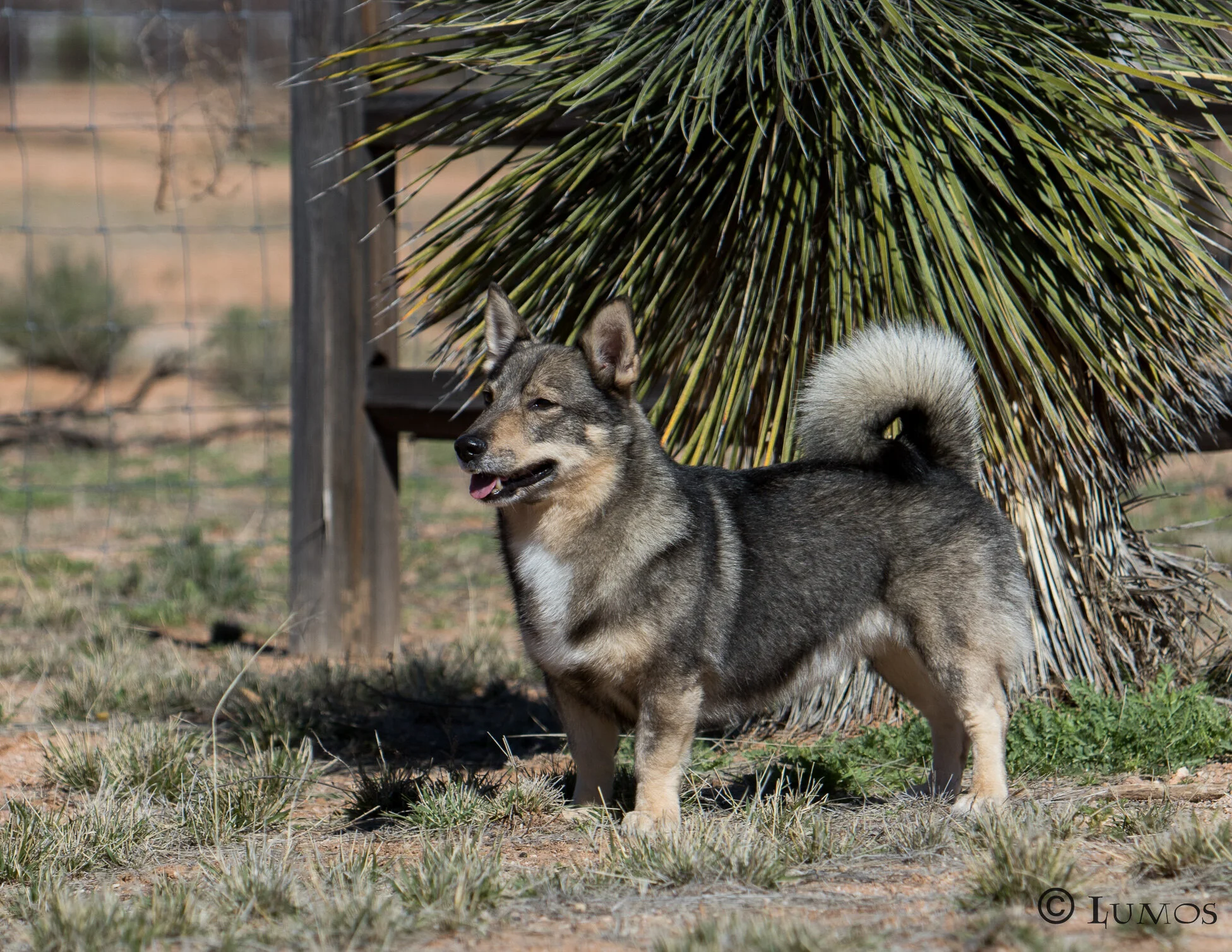 fromm 180 web sized-80.JPG