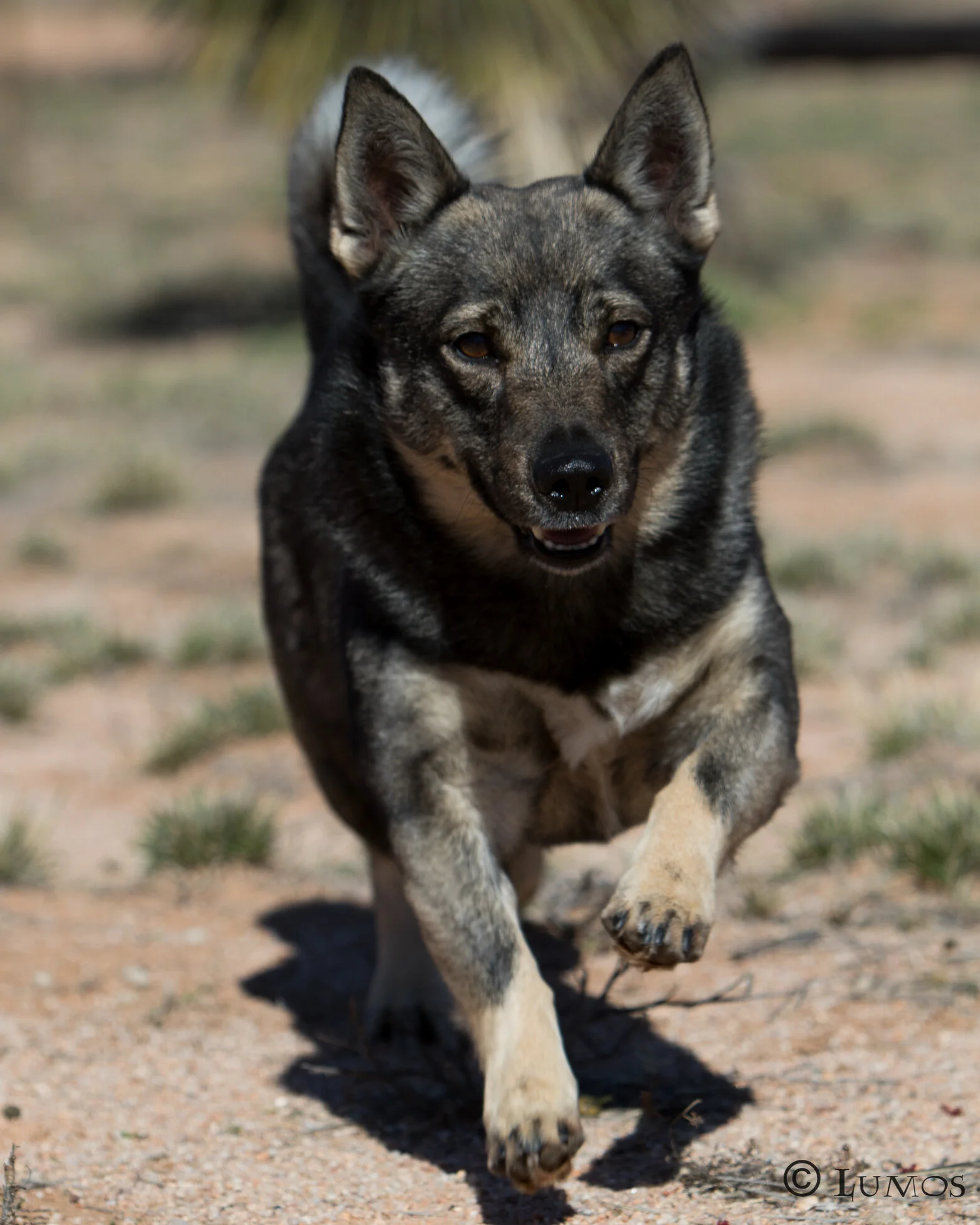 fromm 180 web sized-96.JPG