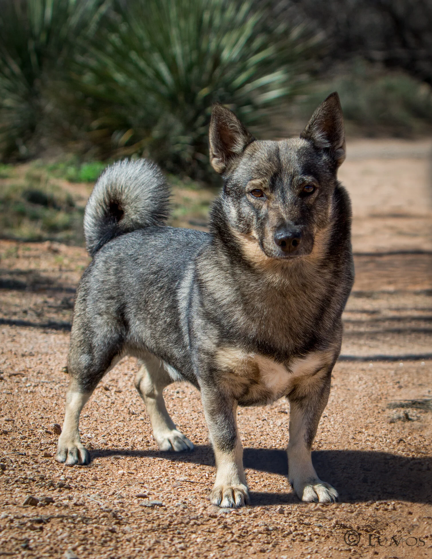 from adults edited web-5.JPG