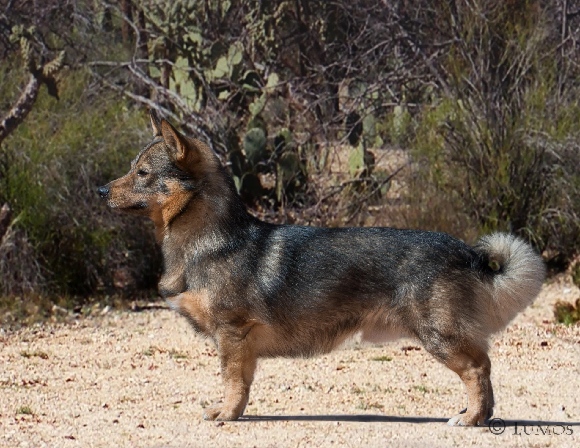 from adults edited web-13.JPG