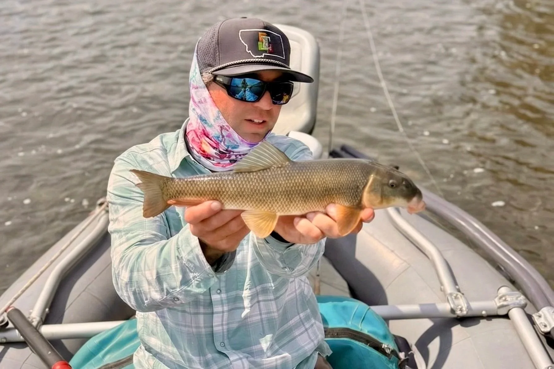 Flyshot Outfitters guide holding a native mountain sucker caught on the Madison River near Bozeman, Montana, showcasing the diverse aquatic life and healthy ecosystem of the river.