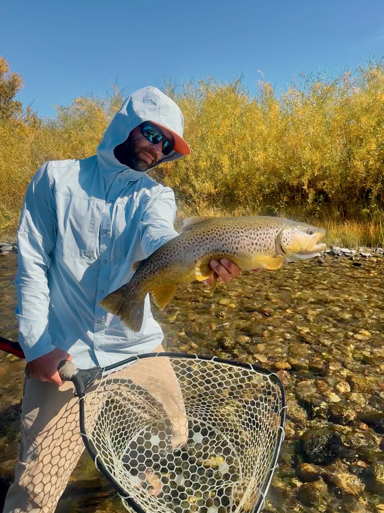 Flyshot Outfitters owner David Kern standing in the Gallatin River holding a large wild brown trout during a guided walk-and-wade fishing trip near Bozeman, Montana.