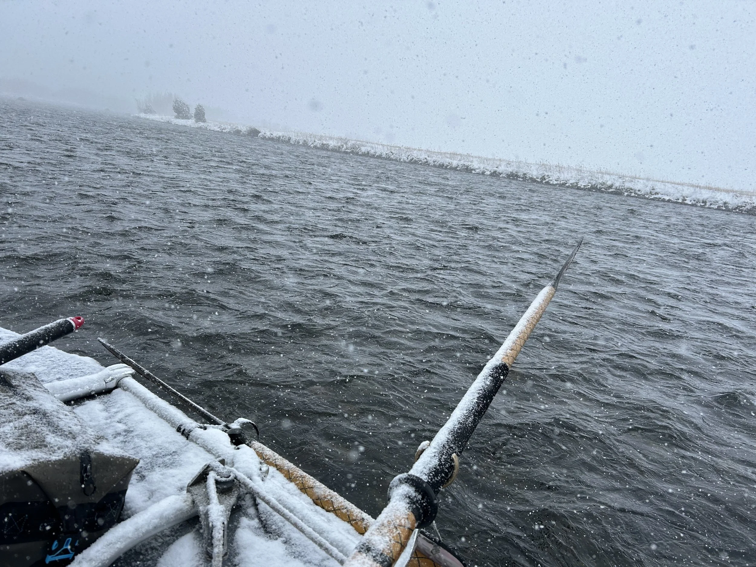 Upper Madison Fishing Report: Stoneflies &amp; Spring Weather