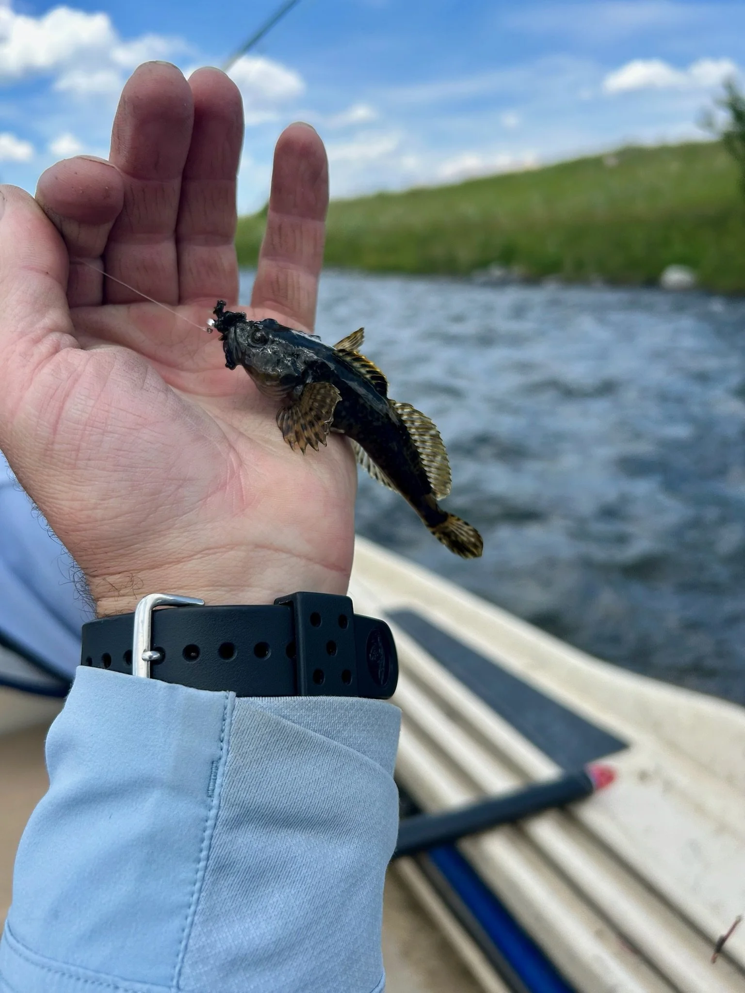 Southwest Montana Fishing Report: Navigating the Summer Heat Wave