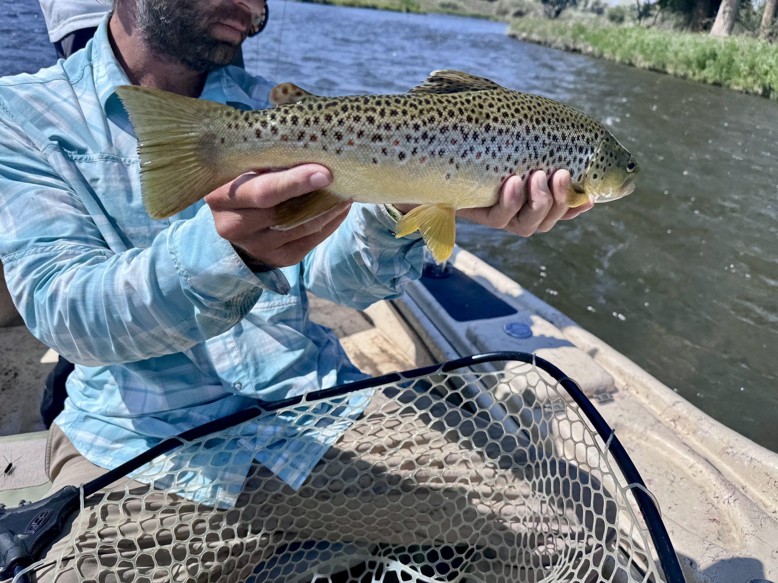 Southwest Montana Fishing Report: Cool Front Relief, Smoke &amp; August Outlook
