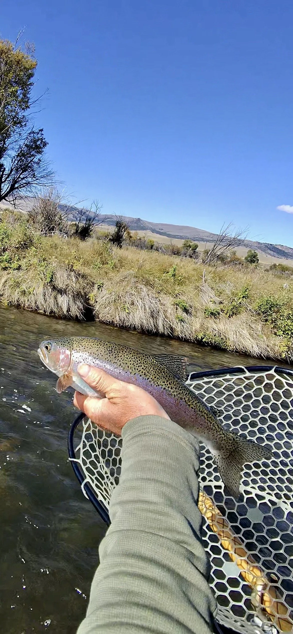 Bozeman Fly Fishing Report: Seasonal Transitions &amp; Streamer Outlook