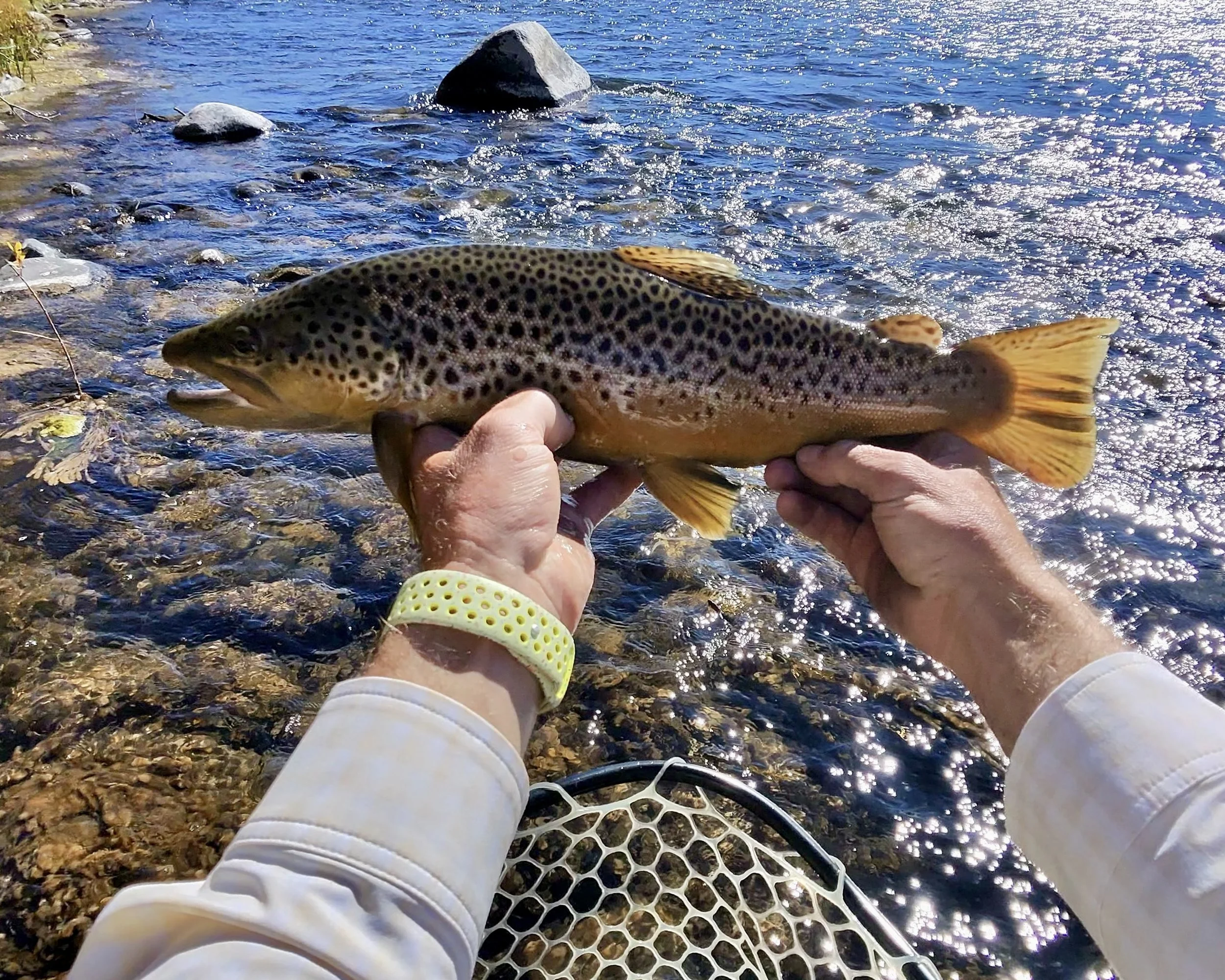 Bozeman Fly Fishing Report: Late-Fall Spawns &amp; Upcoming Storm Reset