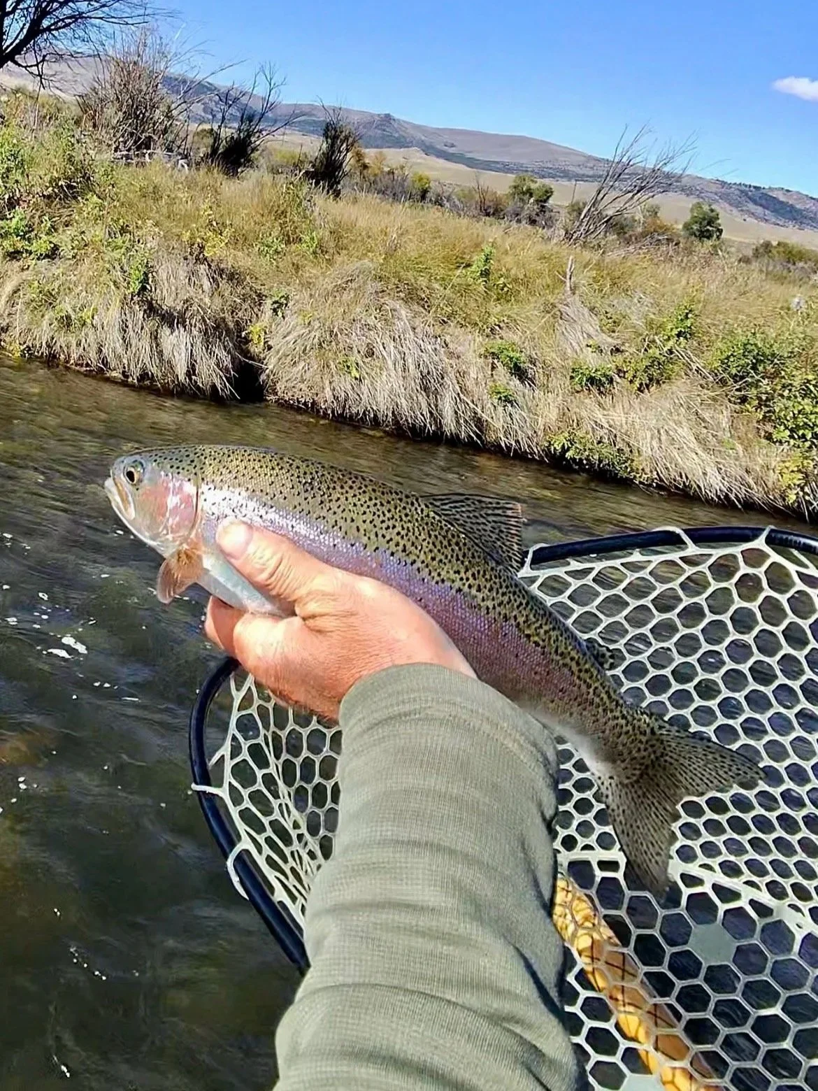 A Flyshot Outfitters guide using Meta Oakley HSTN smart glasses to capture a Madison River rainbow trout.