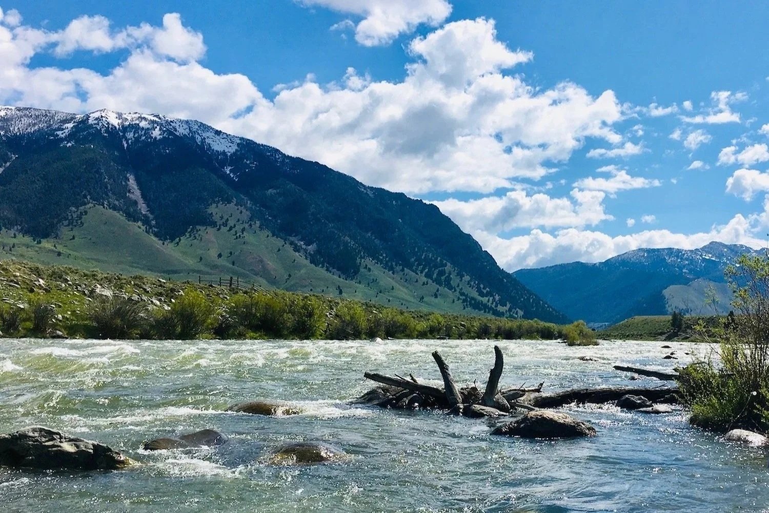The Upper Madison River below Quake Lake, showcasing prime trout habitat and world-class water for guided fly fishing trips.