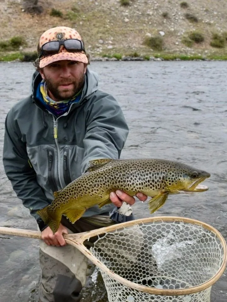 A professional fly fishing guide standing in the Upper Madison River holding a net with a huge wild brown trout during a walk-and-wade fishing trip with Flyshot Outfitters.