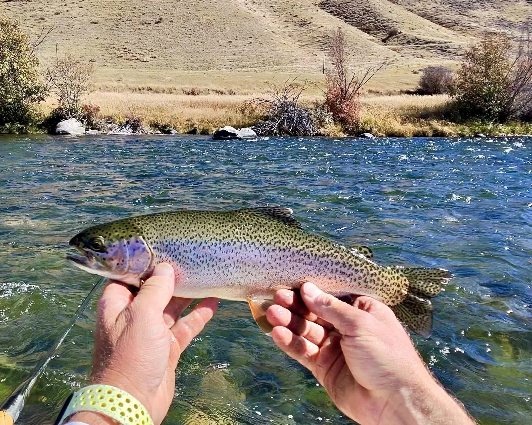 David Kern wearing Meta smart glasses to capture a mid-size rainbow trout before safe release on the Madison River.