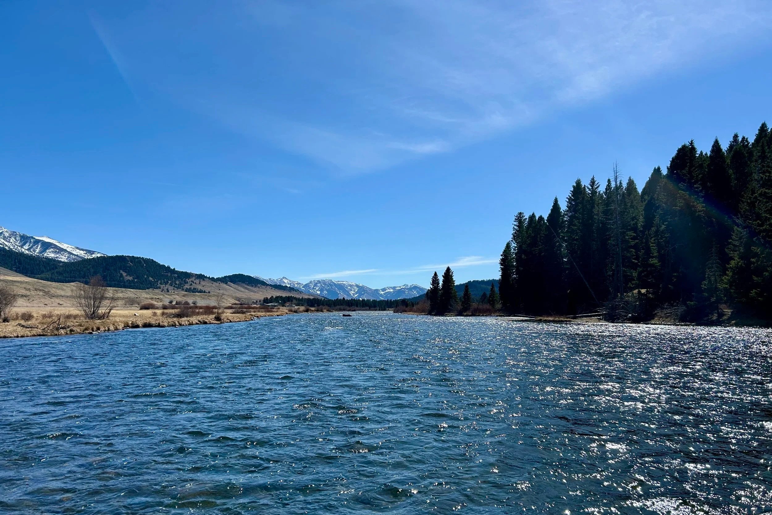 A classic Montana fly fishing scene on the Upper Madison River below Lyon's Bridge, featuring the famous '50-mile riffle' with the Madison Range mountains in the background.