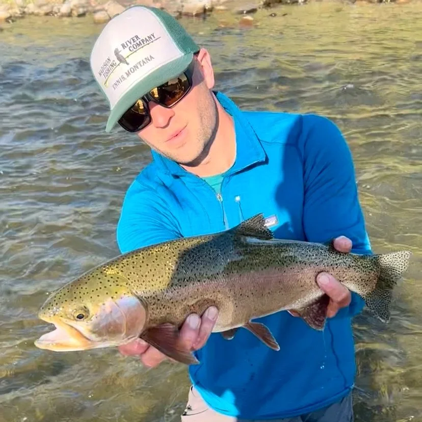 Flyshot Outfitters owner David Kern standing in the Gallatin River holding a large, wild rainbow trout during a guided wade fishing trip near Bozeman and Big Sky, Montana.