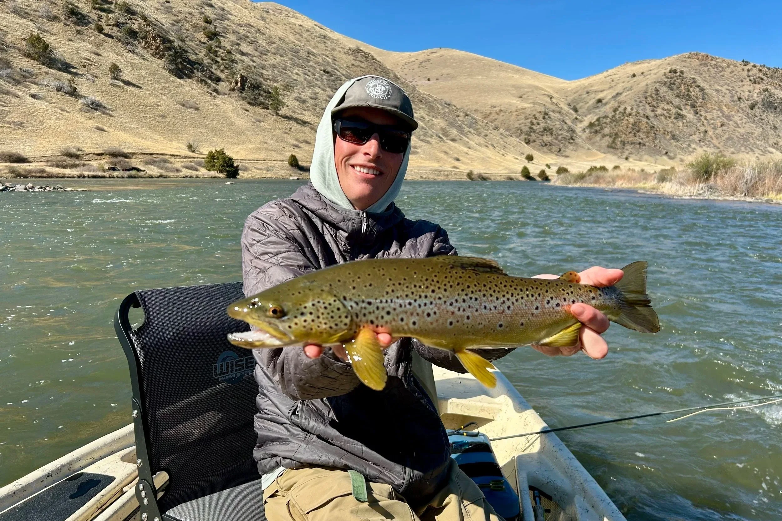 A large, buttery brown trout caught on the Lower Madison River during the spring season, featured in the Flyshot Outfitters weekly fishing report near Bozeman.