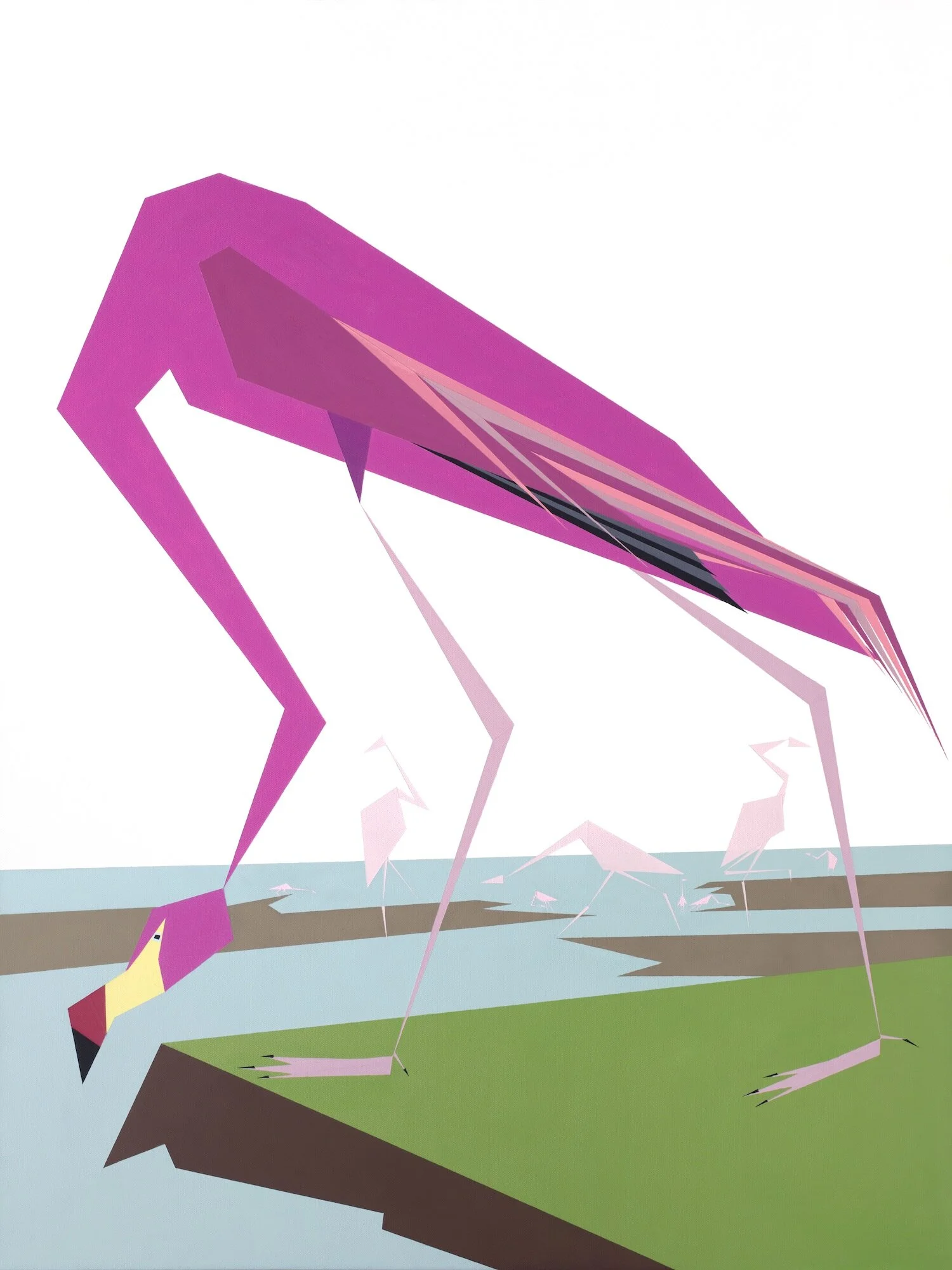 Site - American Flamingo.jpg