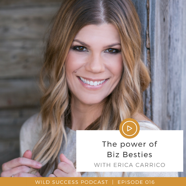 The Power Of Biz Besties Wild Success Podcast Interview Erica Carrico