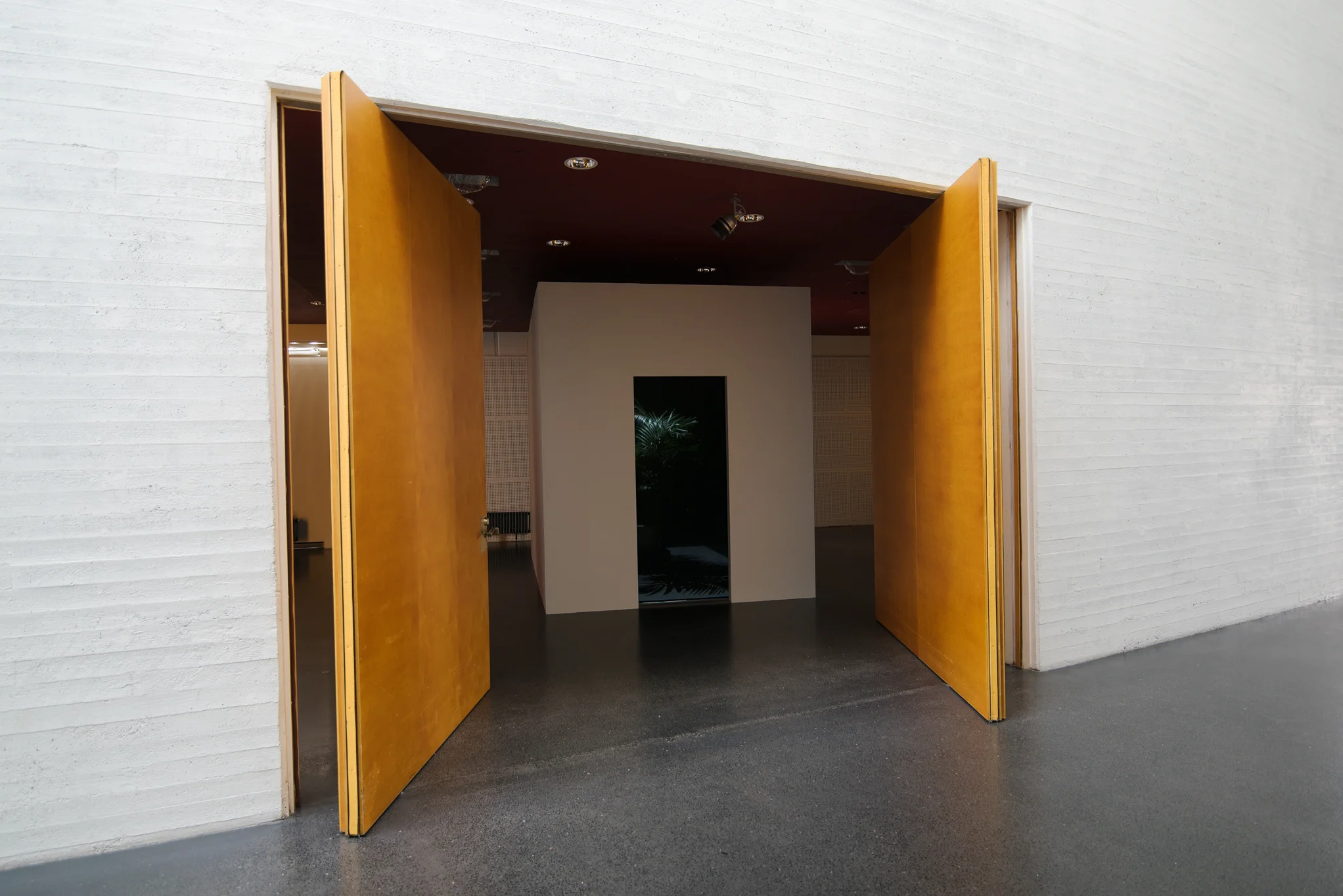 niskanensalo-palmudiskokiasma2