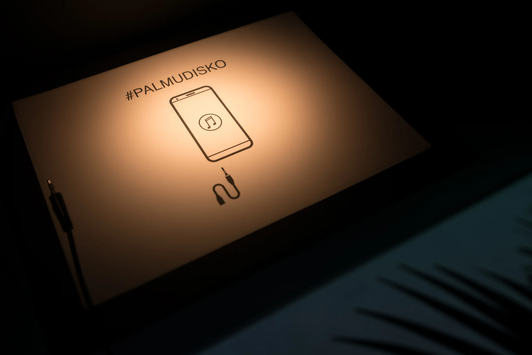 niskanensalo-palmudiskokiasma4