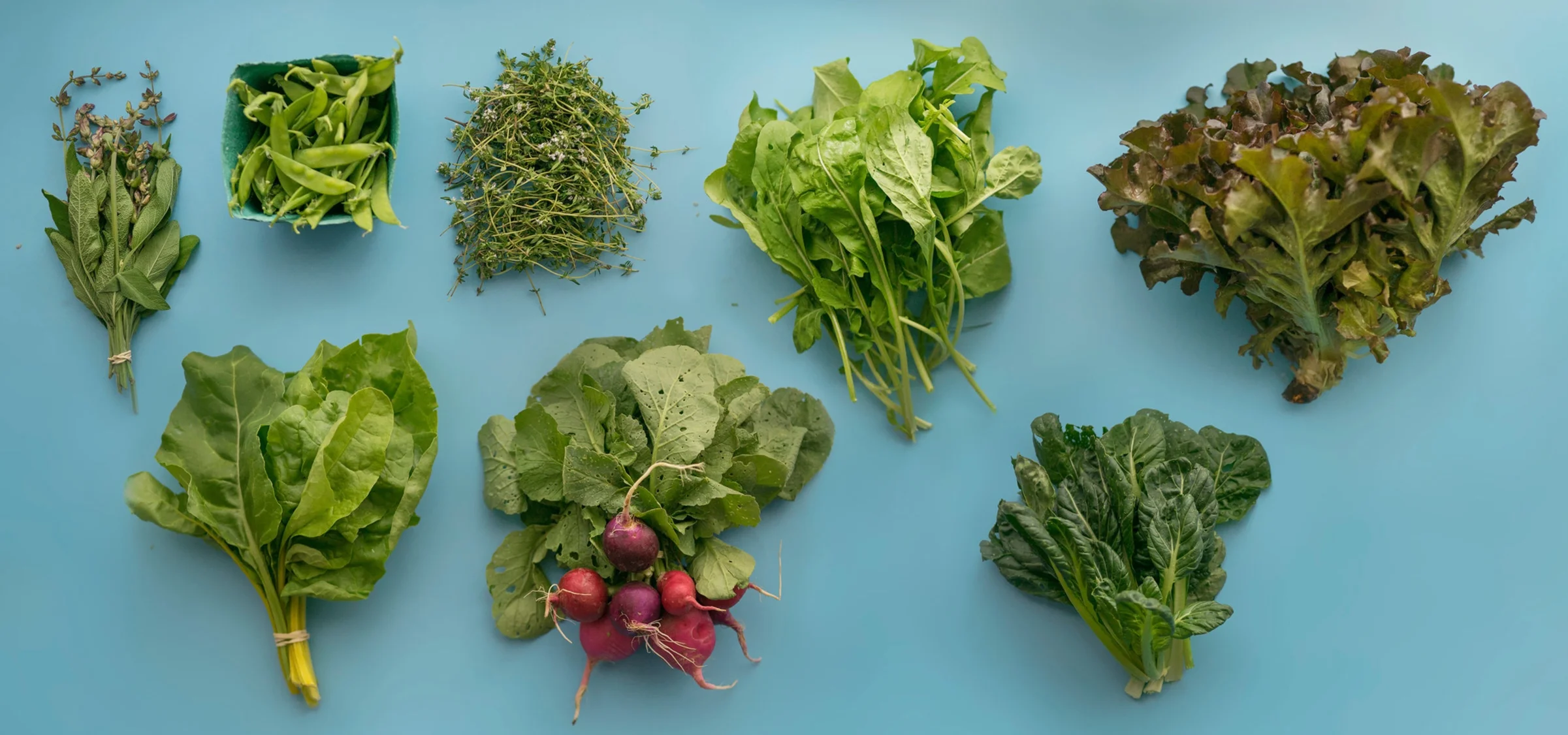 June 16 2018 farm share basket. Photograph by Nick Iwanyshyn
