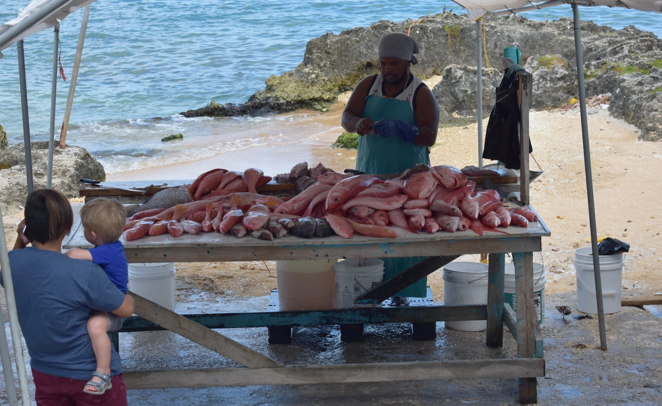 Mercado de peixe perto do Porto, eles ainda estavam tirando os peixes do barquinho