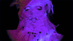 Daphne-Guinness-by-The-Fashtons-X.gif