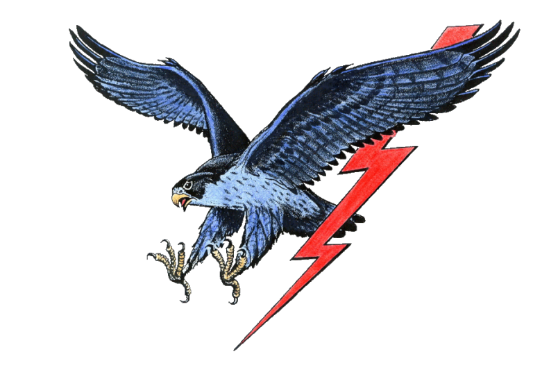 MW-falcon-logo.png