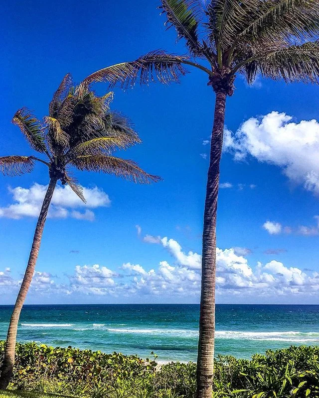 I got my toes in the water, ass in the sand,
not a worry in the world, a cold beer in my hand- Life is good today!

#beaching #bumming #chilling #florida