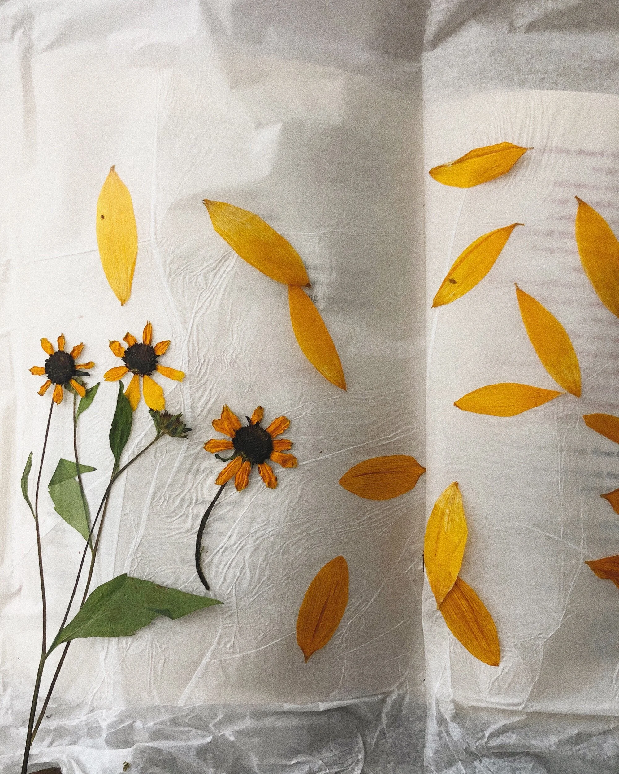 BA65F85A-7382-414C-8DEF-CB6F9BCA1864