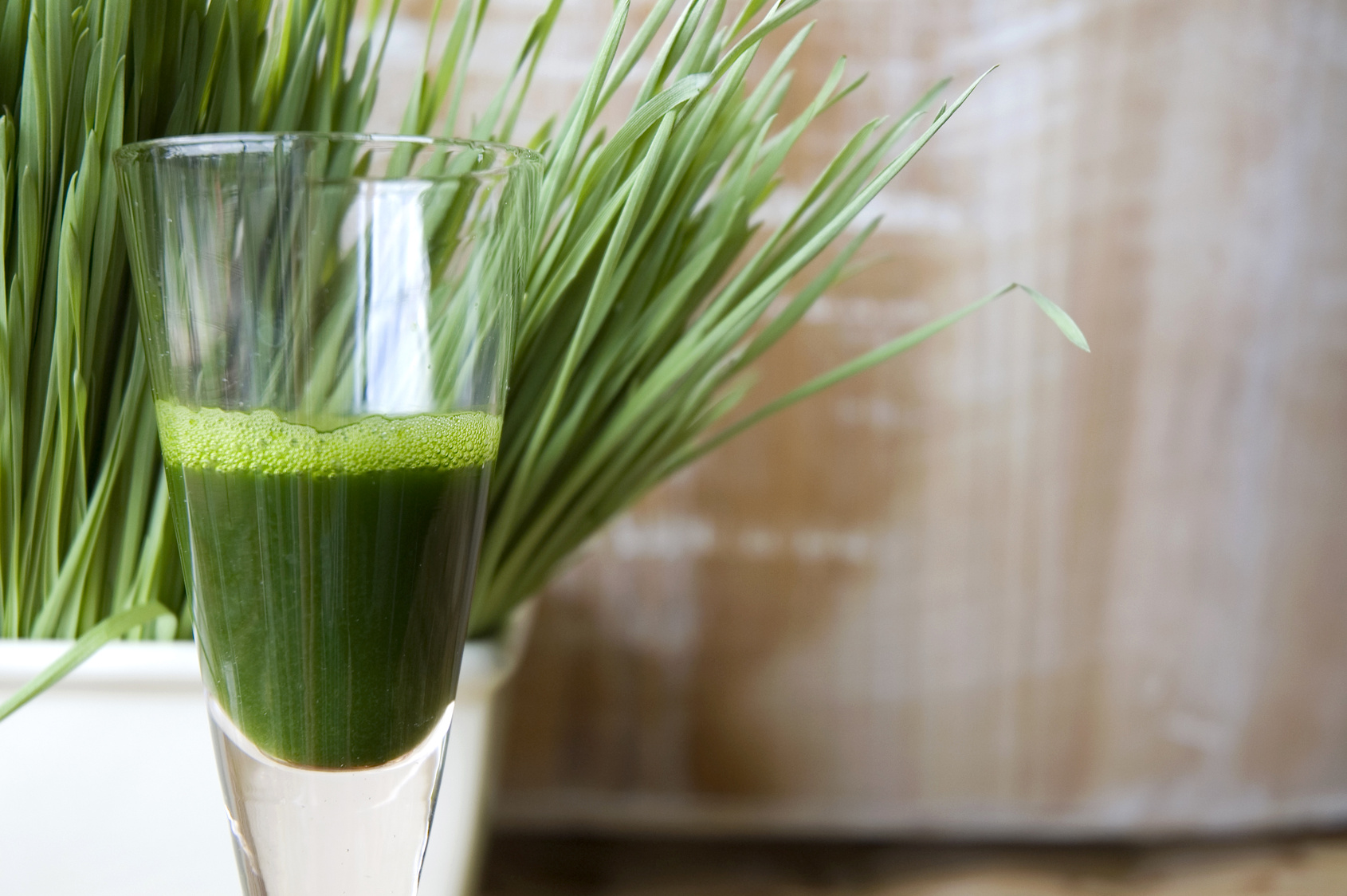 Wheat Grass