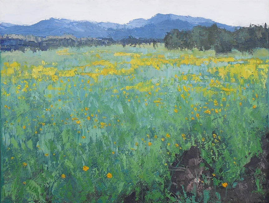 ColoradoFieldSmall.jpg
