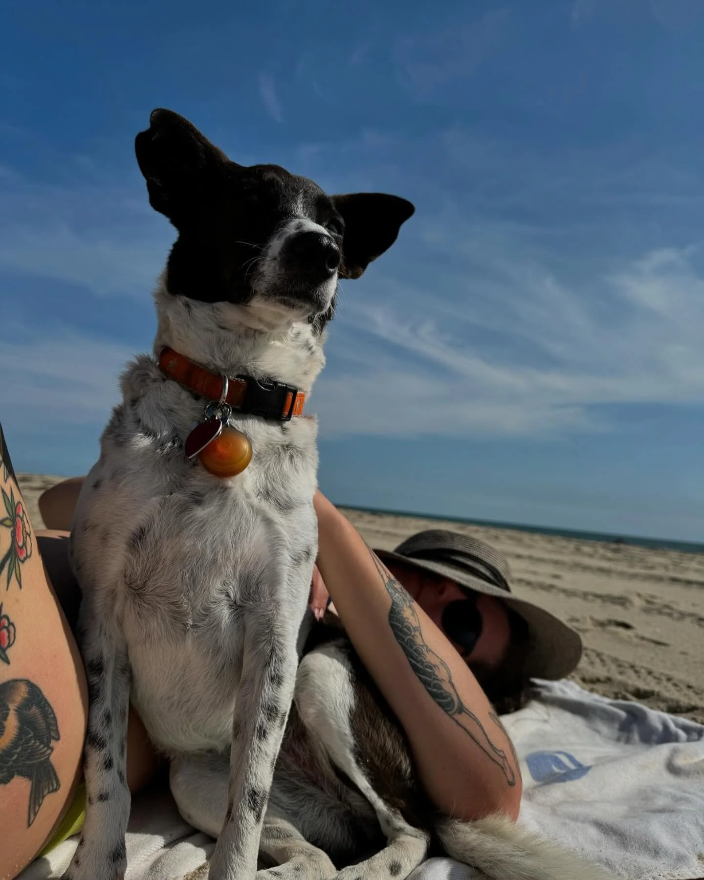 Lately&hellip;

❤️ Dogs, Kids, Pot Pies, Nature + Dogs, True Motherfucking Love, Dog Art, Cake + Love, Heirloom Birthday Cake ❤️