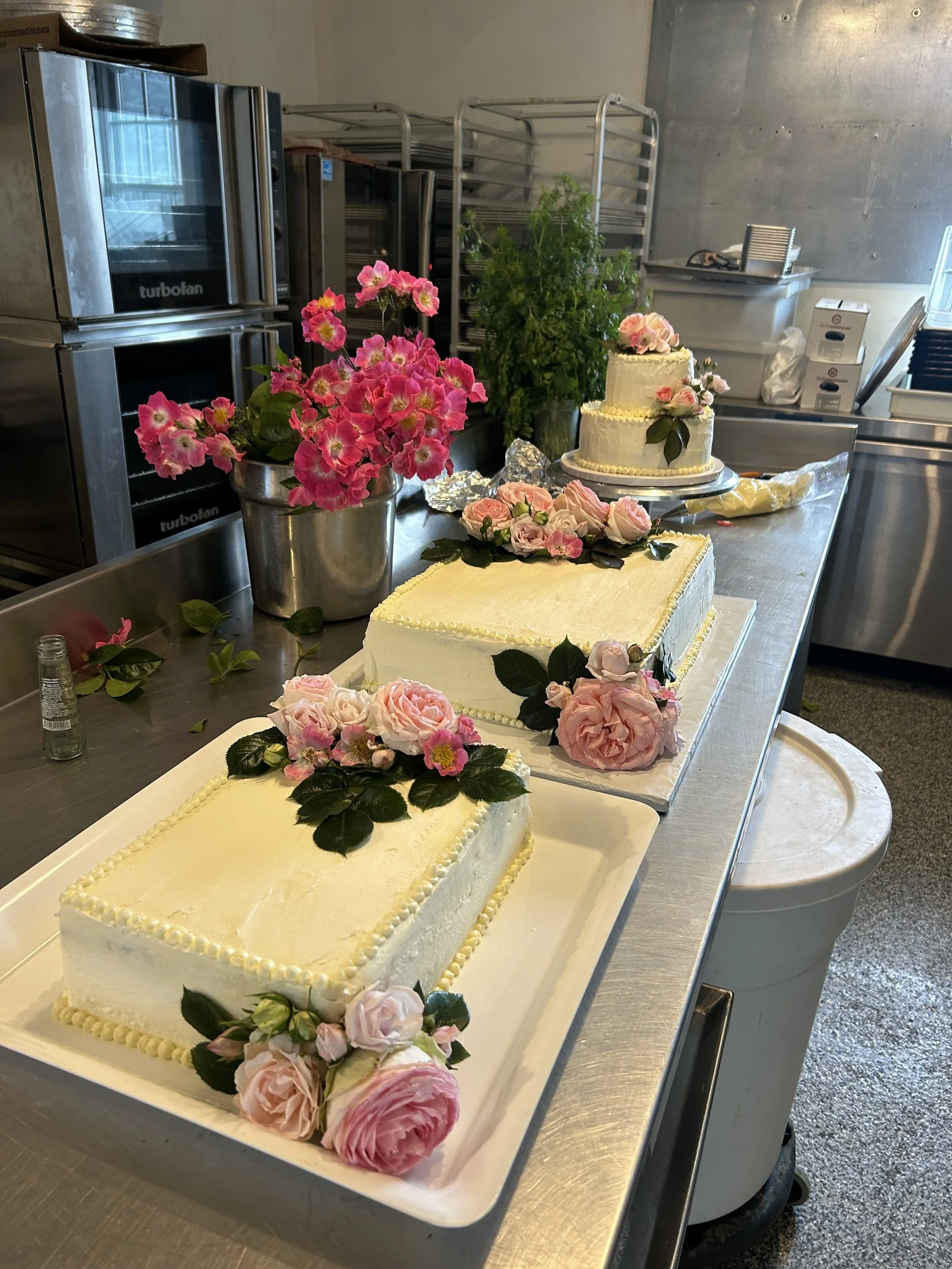 GF Cake.jpg