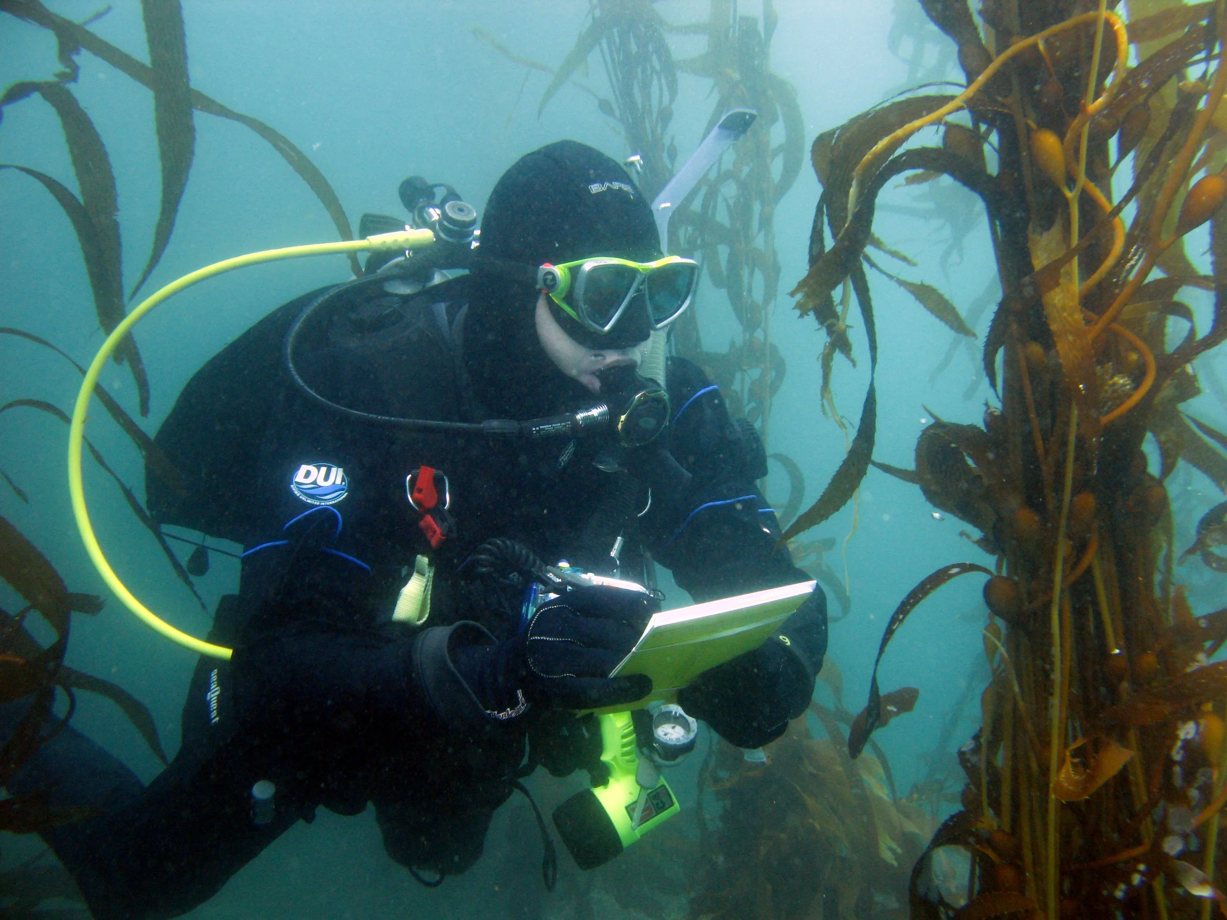 Marine Environmental Assessments Contact Us