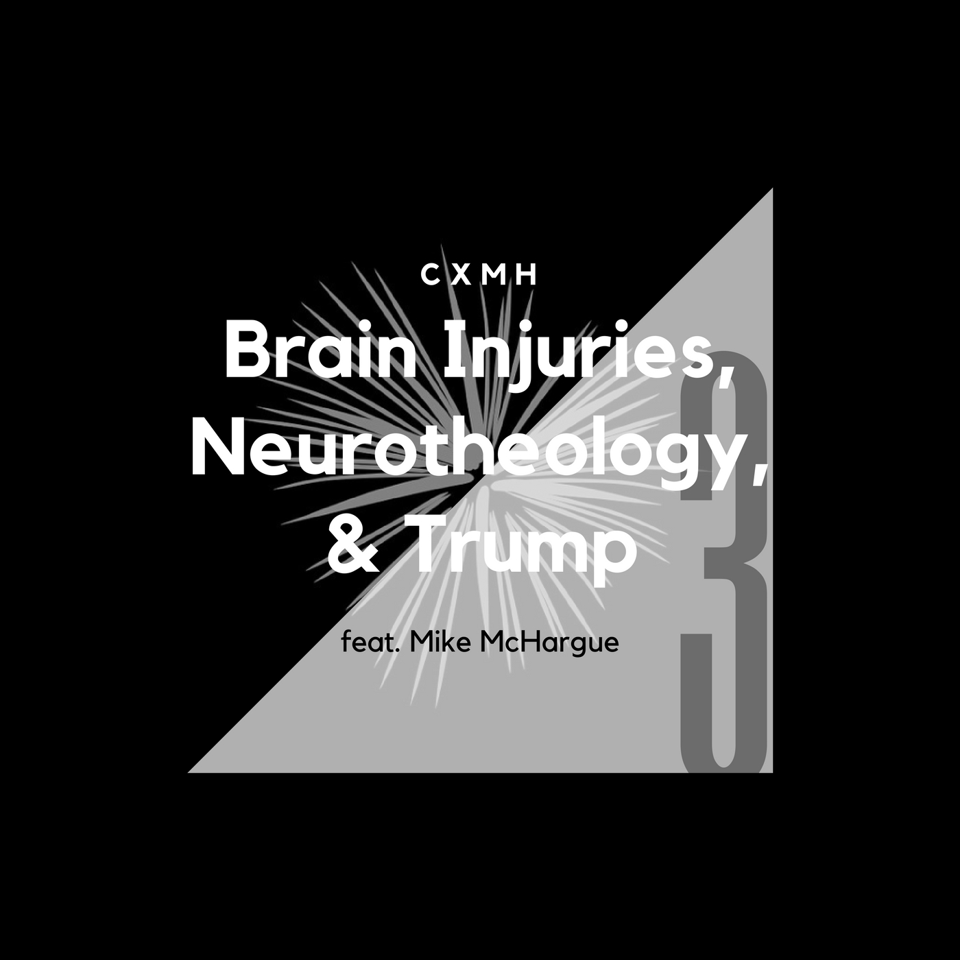 3 - Brain Injuries, Neurotheology, & Trump (feat. Mike McHargue)