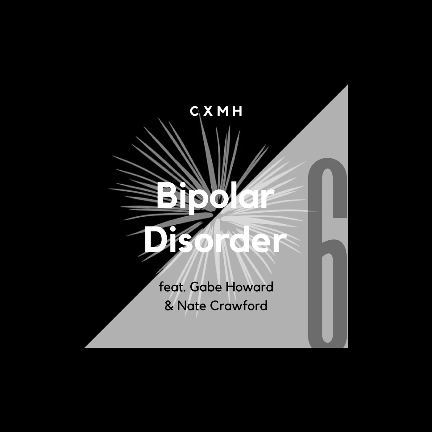 6 - Bipolar Disorder (feat. Gabe Howard & Nate Crawford) episode artwork