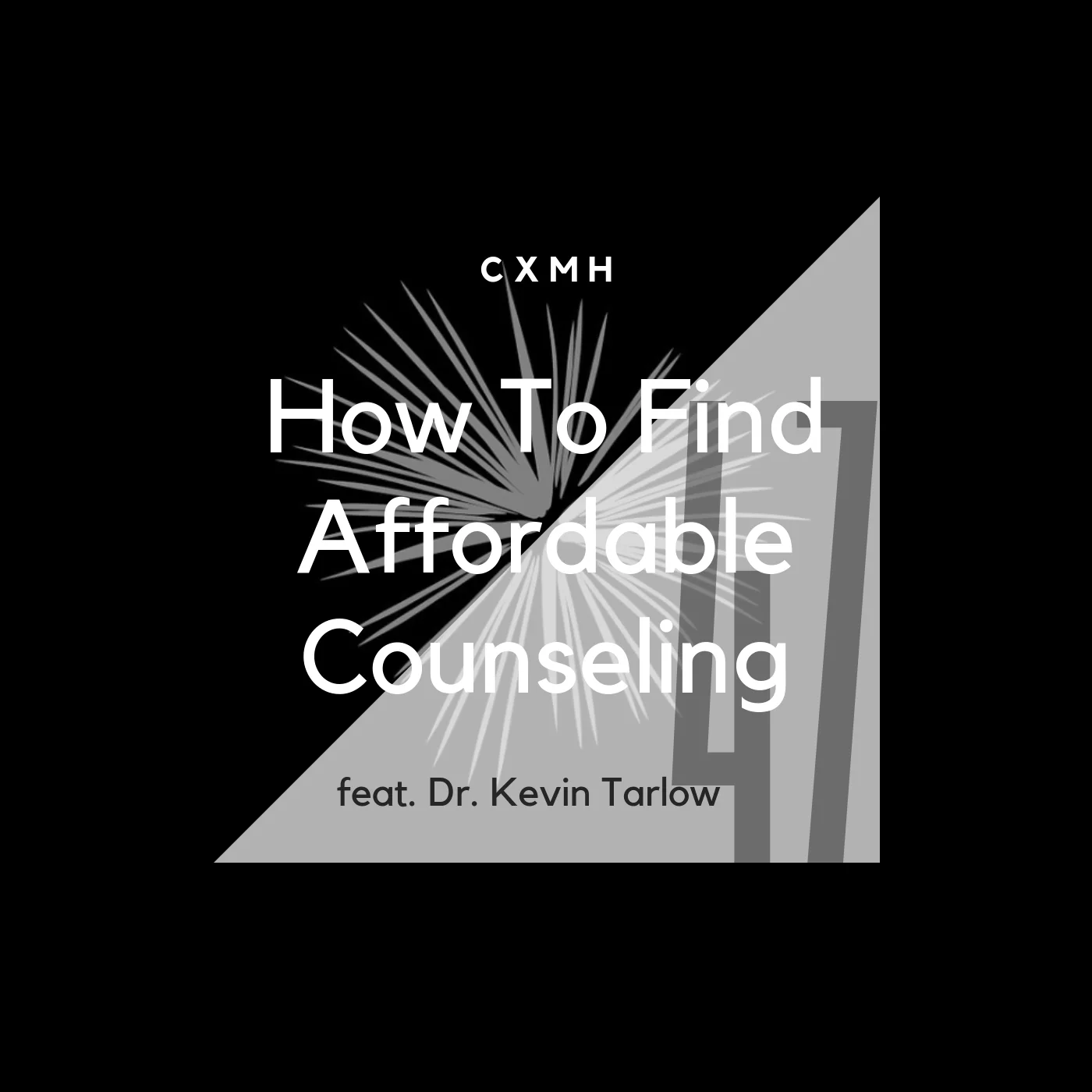 47 - How To Find Affordable Counseling (feat. Dr. Kevin Tarlow)