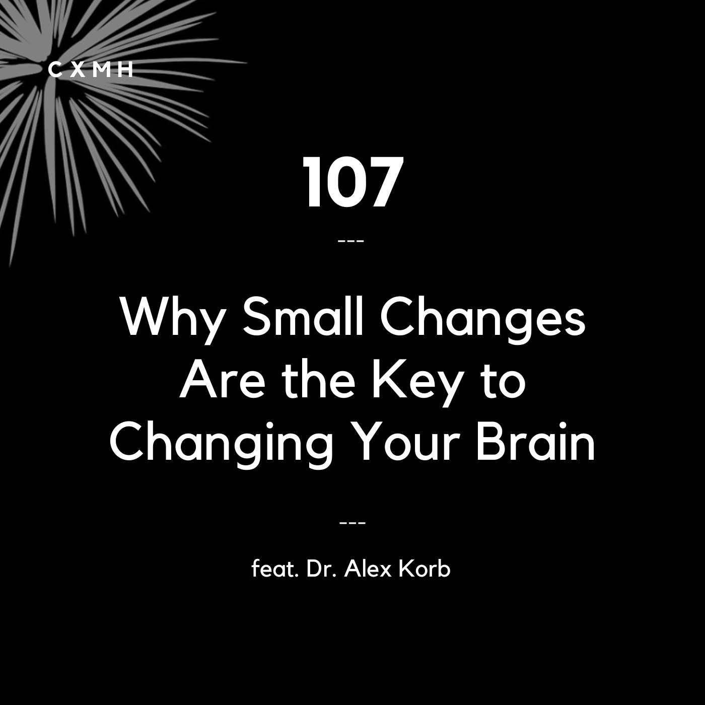107 - Why Small Changes Are the Key to Changing Your Brain (feat. Dr ...
