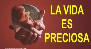 La Vida es Preciosa