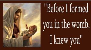 Before I Formed You in the Womb