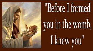Before I Formed You in the Womb