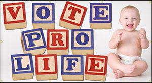Vote Pro Life - alphabet blocks