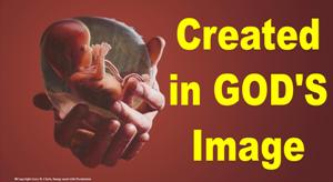 Created in God's Image