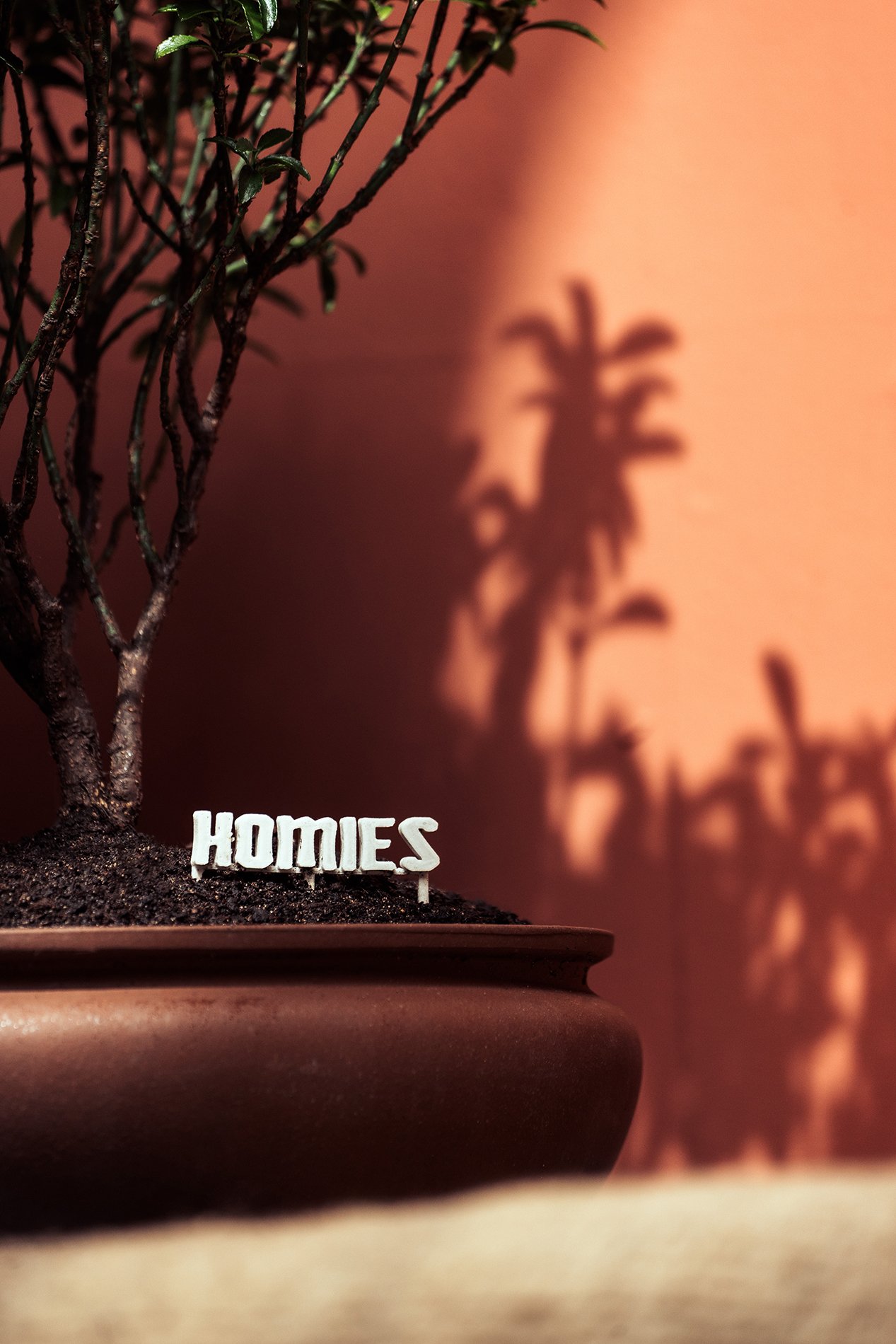 Homies Shop-82.jpg