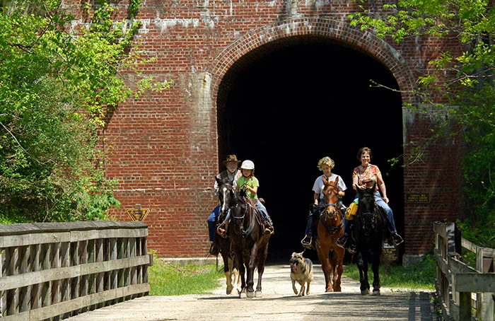 NorthBendRailTrailHorses-sjs-07.jpg