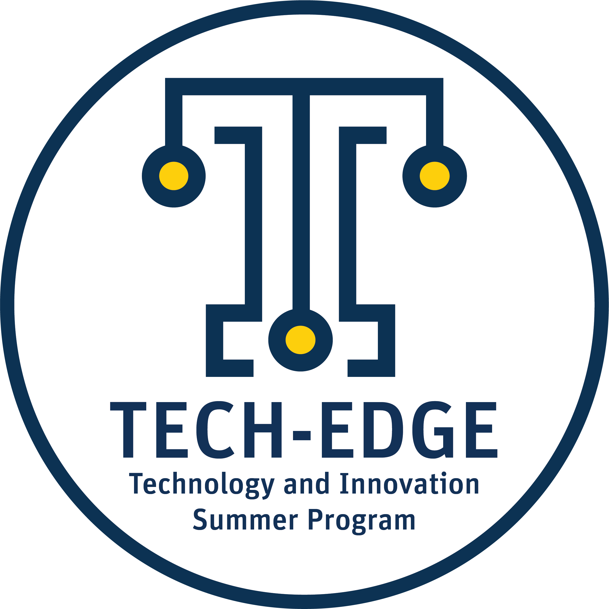 Tech Edge Solutions Client Work — Design by Field