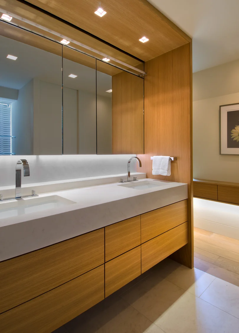 07_Master-Suite-Renovation-Vanity.jpg