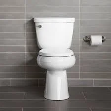 kohlertoilet2.jpg