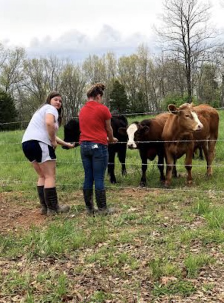 girls and cows.png