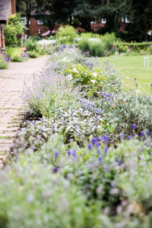 Purple Flower Bed