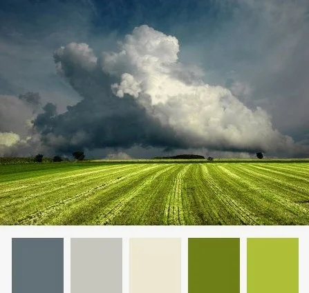houzz.jpg